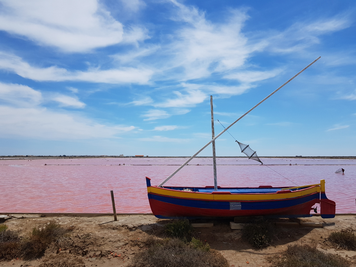 La couleur rose rouge des salins est à l'origine d'une algue